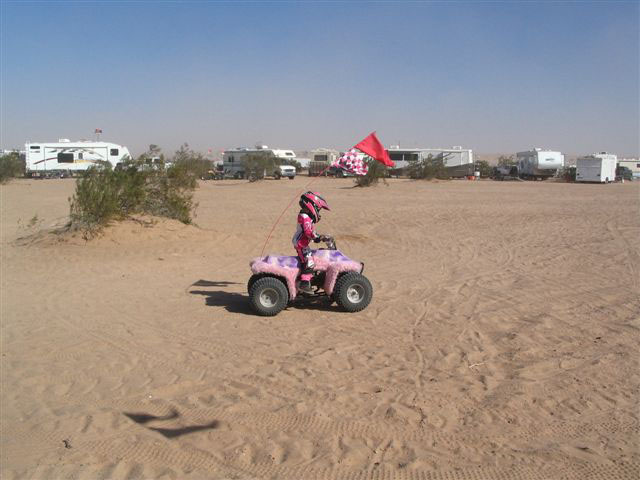 2005 thanksgiving dunes 004