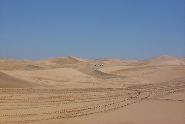 P0005604