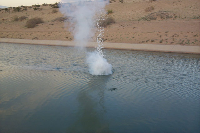 P0005696