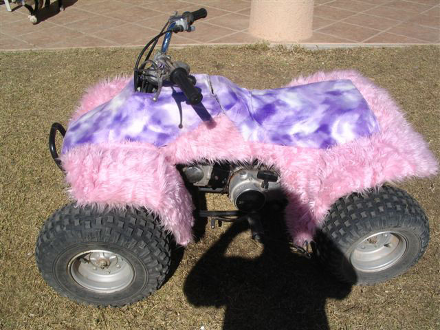 2005 thanksgiving dunes 027