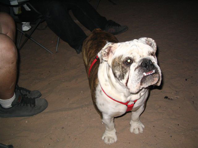 2005 thanksgiving dunes 046