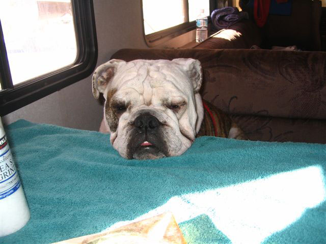 2005 thanksgiving dunes 052