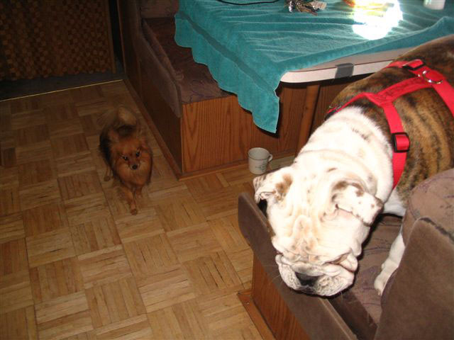 2005 thanksgiving dunes 056