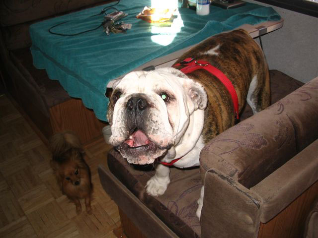 2005 thanksgiving dunes 057
