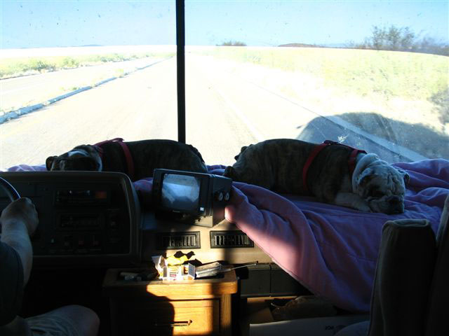 2005 thanksgiving dunes 080