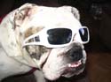 dozer