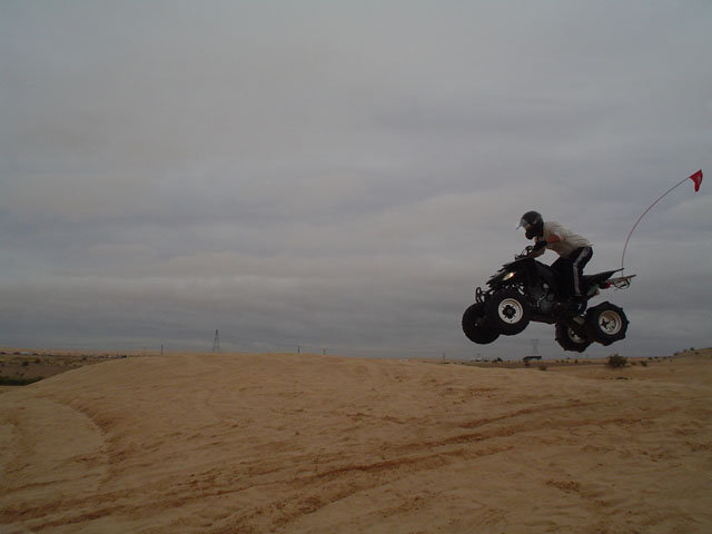 Picture 005