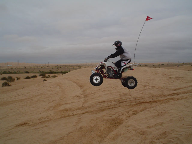 Picture 006