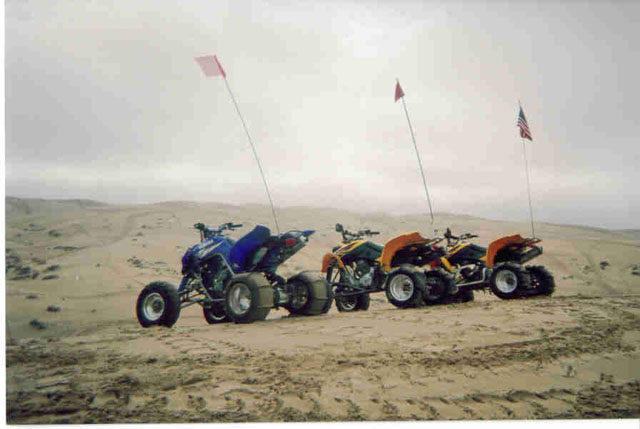 The_Whips