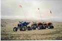The_Whips